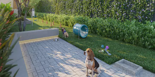 Pet Place